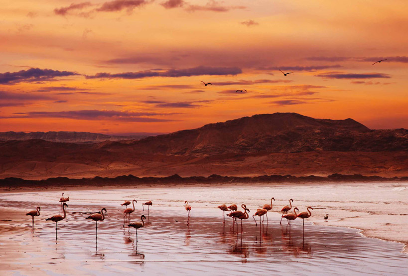 Flying Safari Along The Skeleton Coast