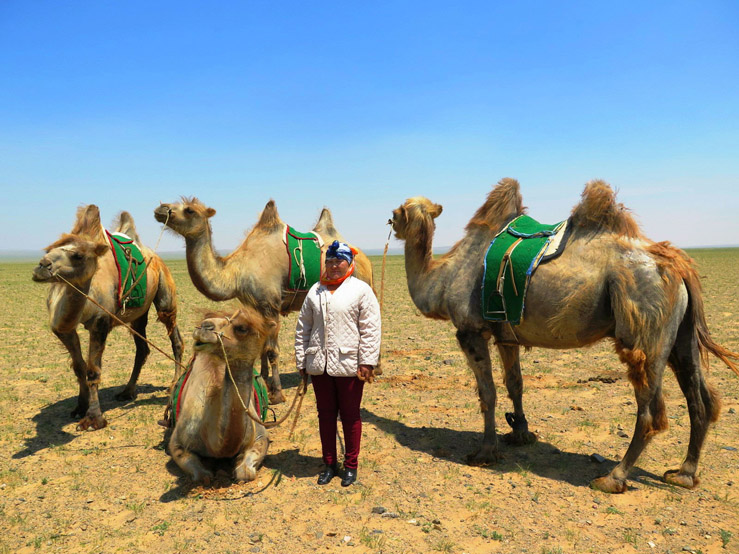My Top Five in Mongolia