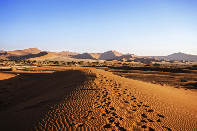 Escape to the Wild: Namibia's Desert Plains and Rust-Coloured Dunes