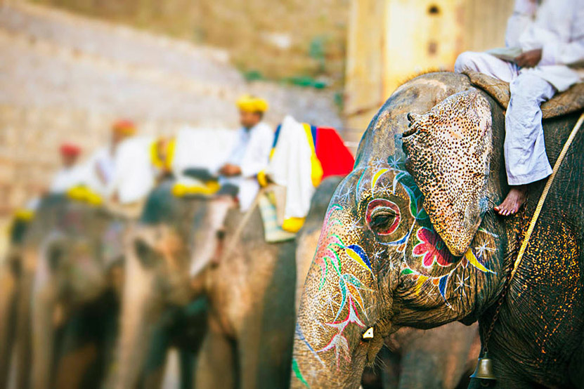 The Nuances and Complexities of Elephant Riding