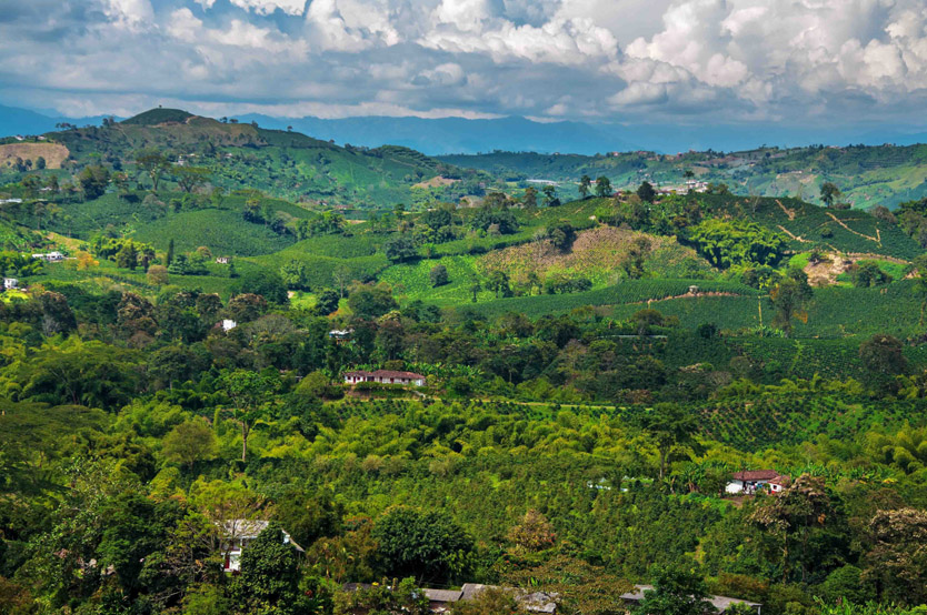 Colombia: Tayrona National Park (Part 2)