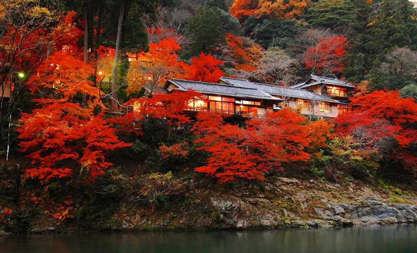 Luxury Hotels in Tokyo and Kyoto