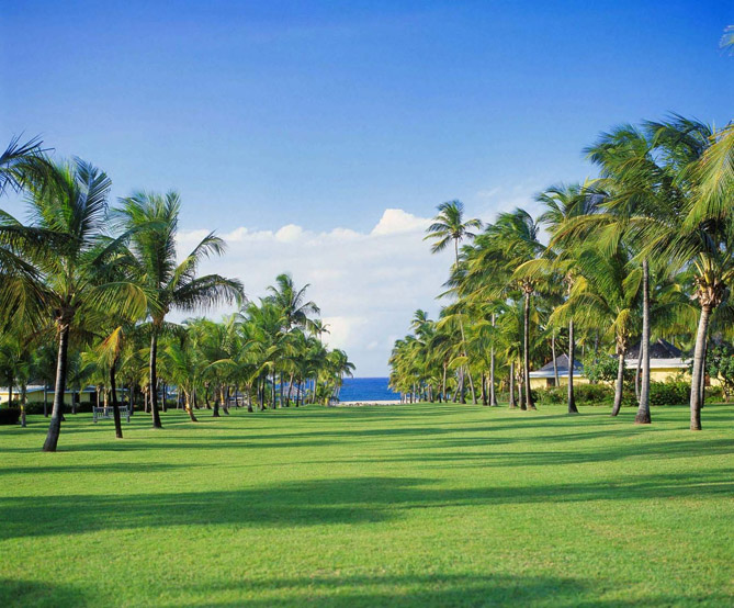 Luxury Hotels in St Kitts and Nevis