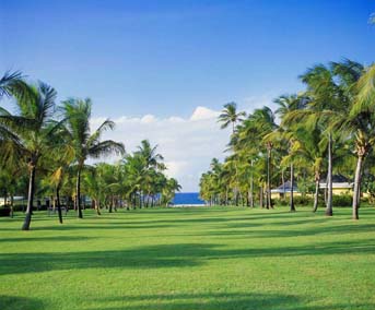 Luxury Hotels in St Kitts and Nevis