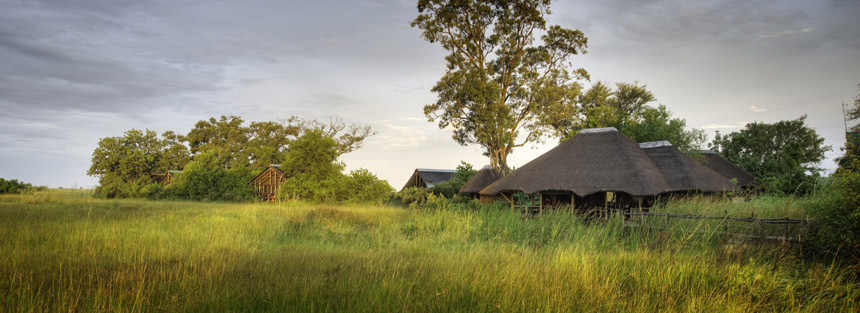 Luxury Camps in the Okavango Delta