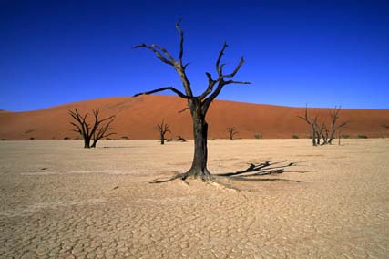 Wolwedans Dune Lodge, Private Camp, Namibia