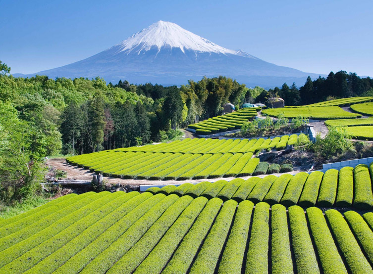 Japanese Transport, The Rail System