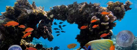 Best Snorkelling Destinations in the World