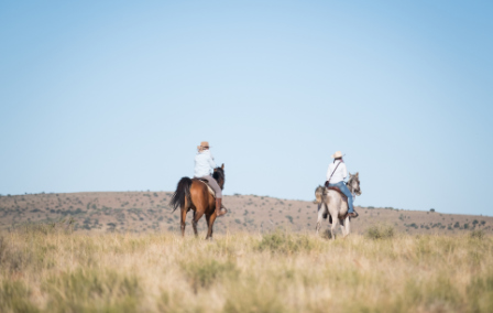 Botswana by Horseback: The Best Way to Explore the Bush