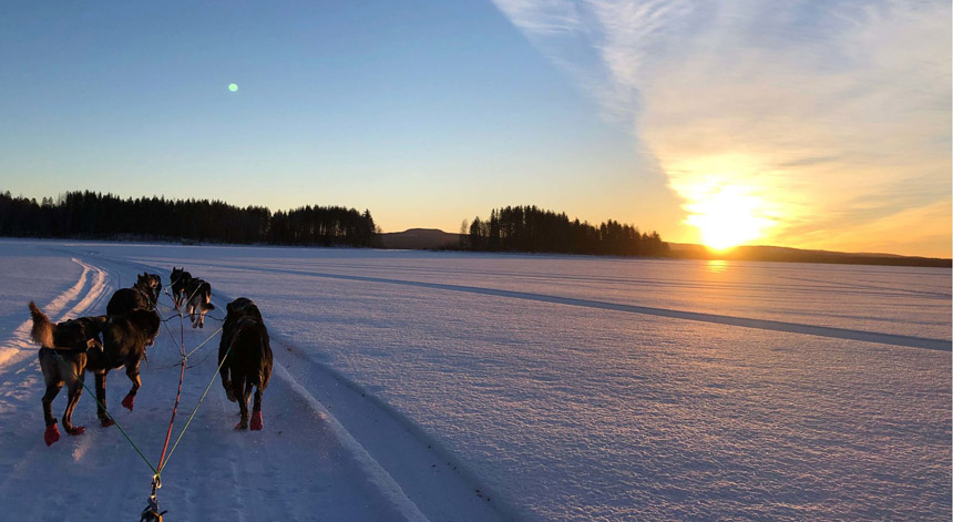 Four Reasons Why Swedish Lapland Should be Your Next Holiday