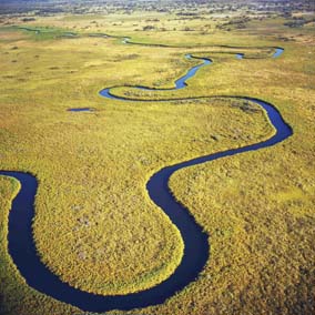 Okavango Delta Trips: Not all Floods are Bad News