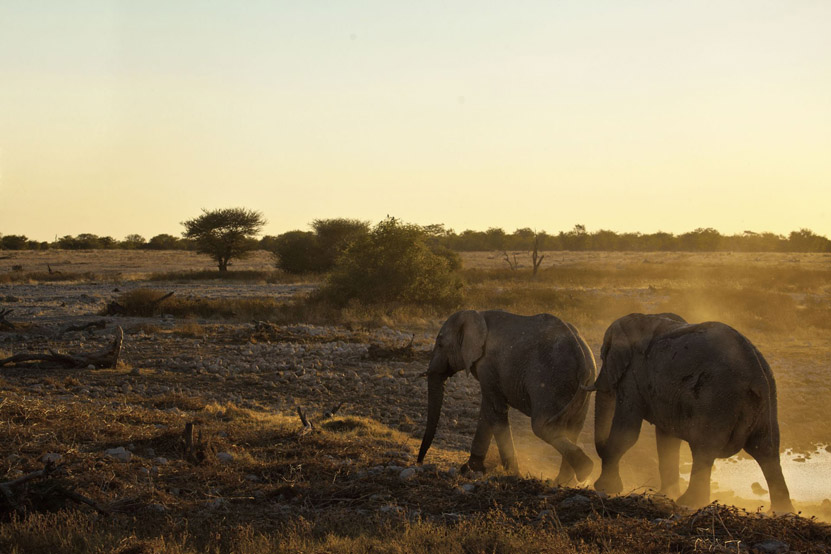 Safari Holidays Through Expert Eyes: Lower Zambezi National Park, Zambia