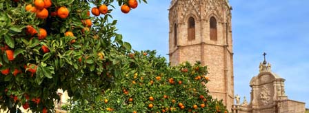 Valencia's Fabulous Foodie Culture