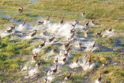 What is a Delta? A Lesson on The Okavango Delta