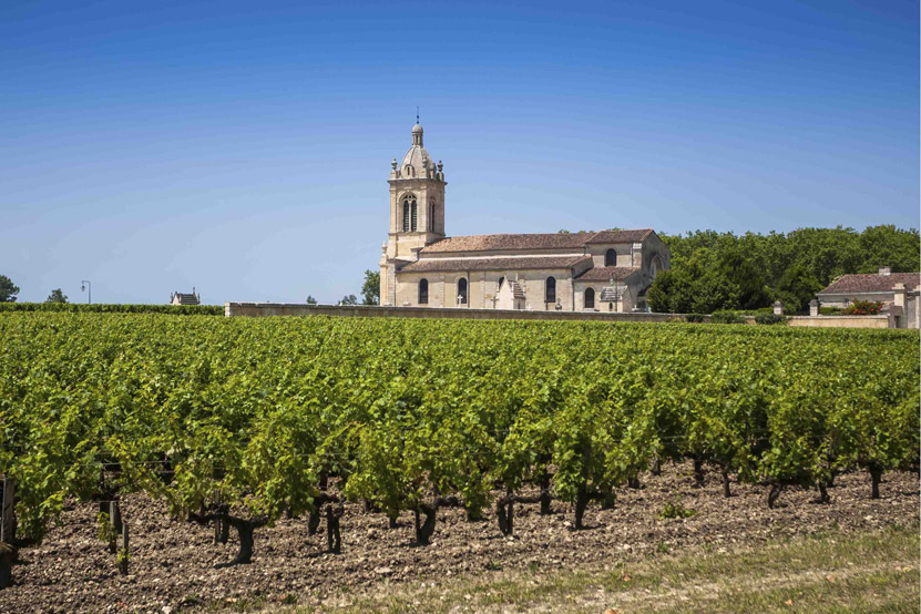 Wine Tasting in Bordeaux