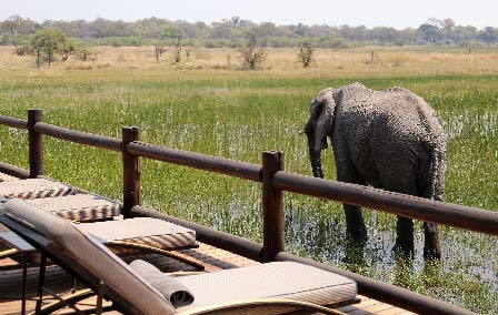 Our Favourite Private Safari Lodges in Africa