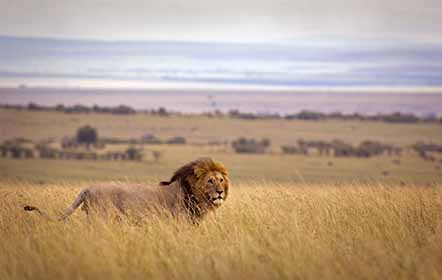 Best National Parks in Kenya