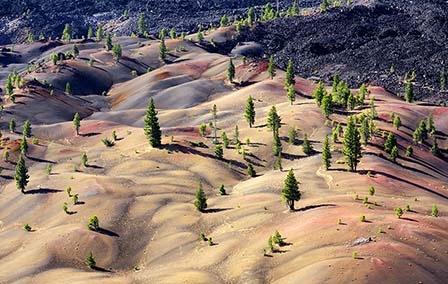 Best National Parks in California