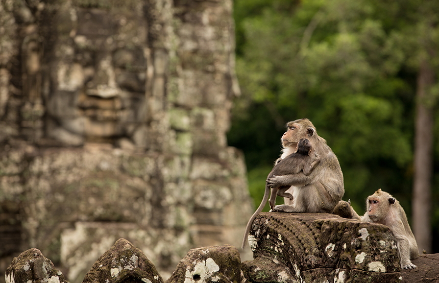 Cambodia or Vietnam? A Seemingly Impossible Choice