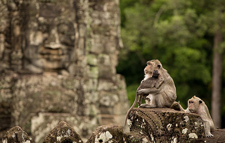 Cambodia or Vietnam? A Seemingly Impossible Choice