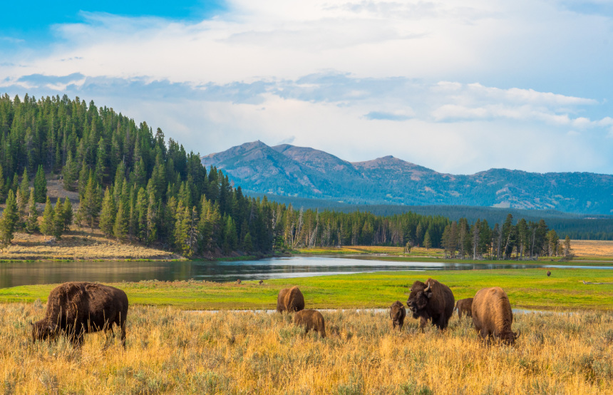 Our Top Ten Best National Parks in the World