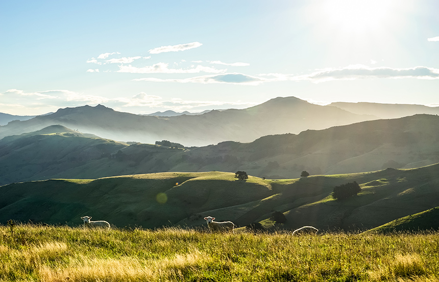 Must-Sees in New Zealand