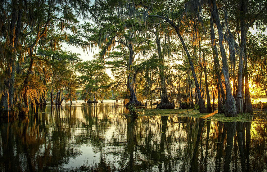 Waterlogged Wonderlands: Wetlands Around The World