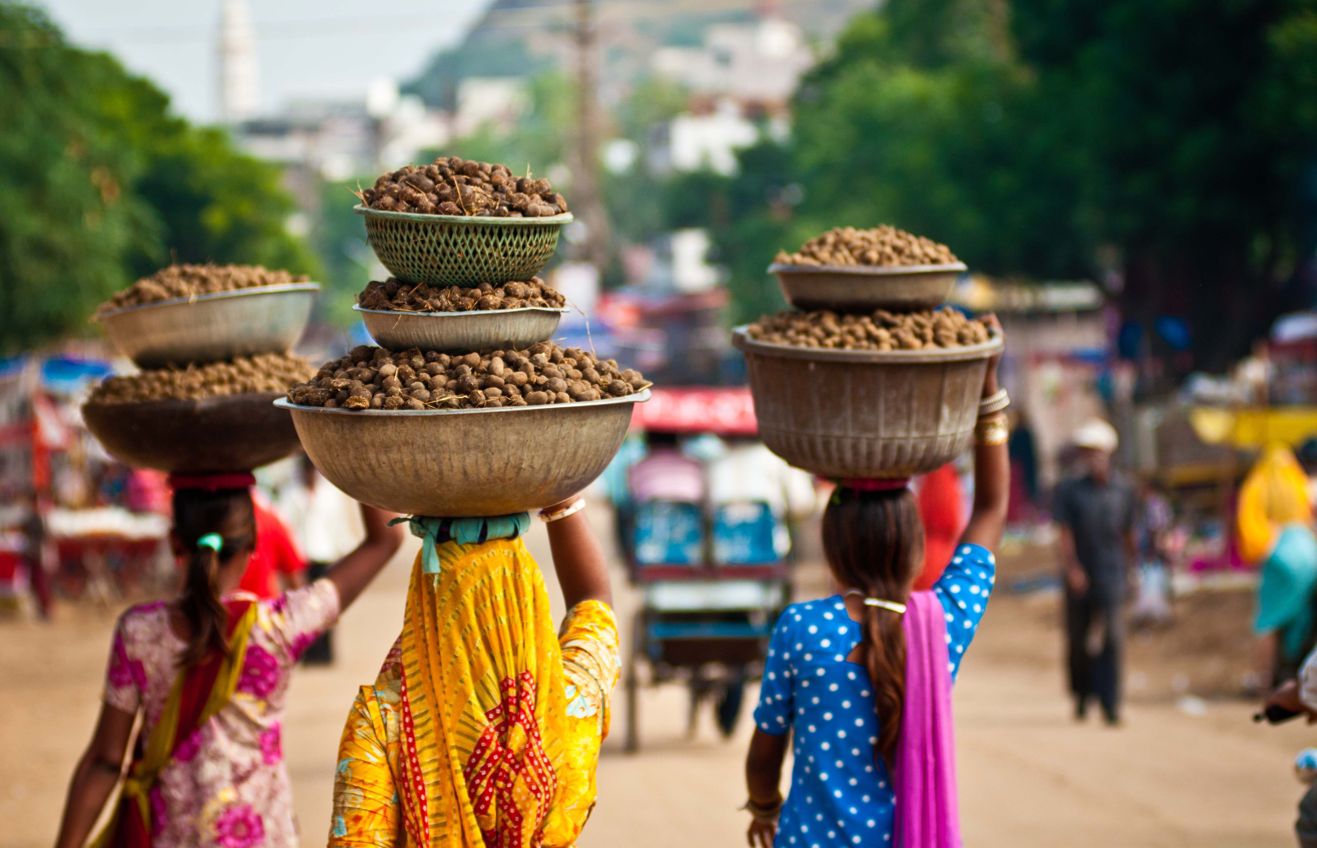 Traditional Food in India