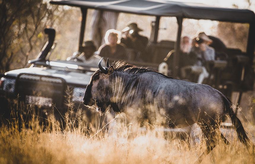 Namibia vs Botswana