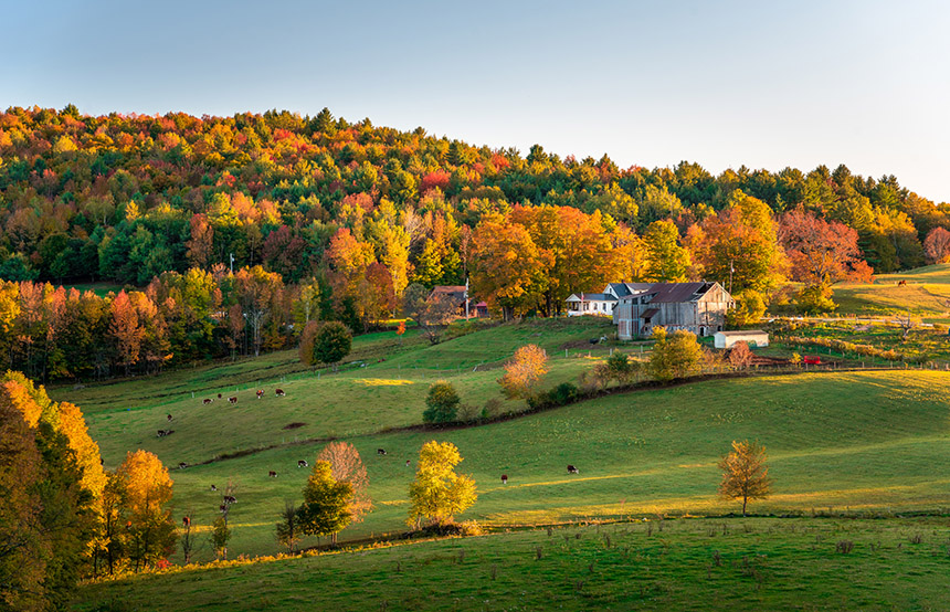 Gold Rush: Autumn in New England