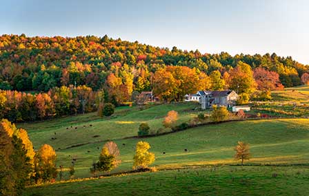 Gold Rush: Autumn in New England