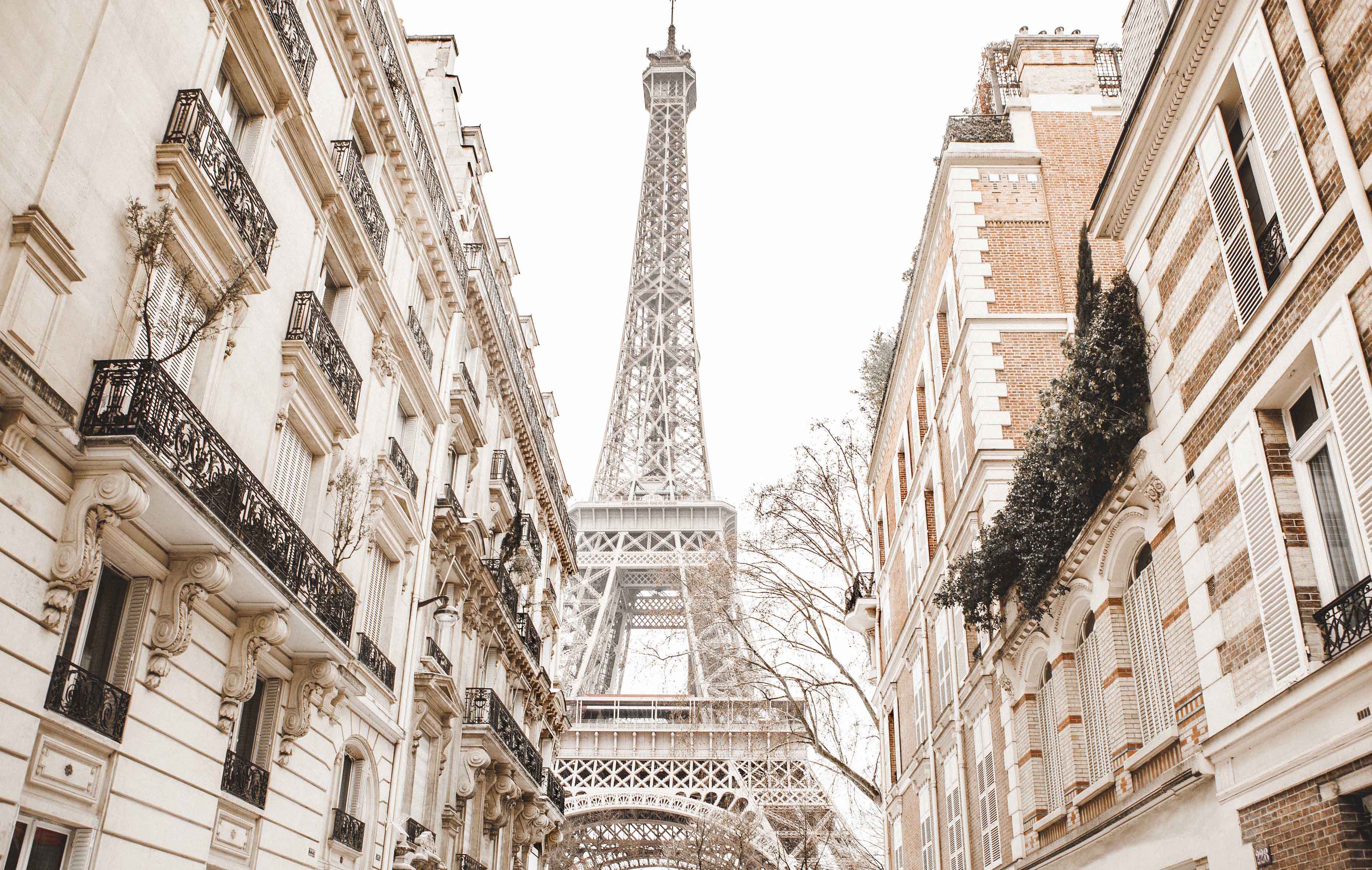 Reasons to Visit Paris in Winter