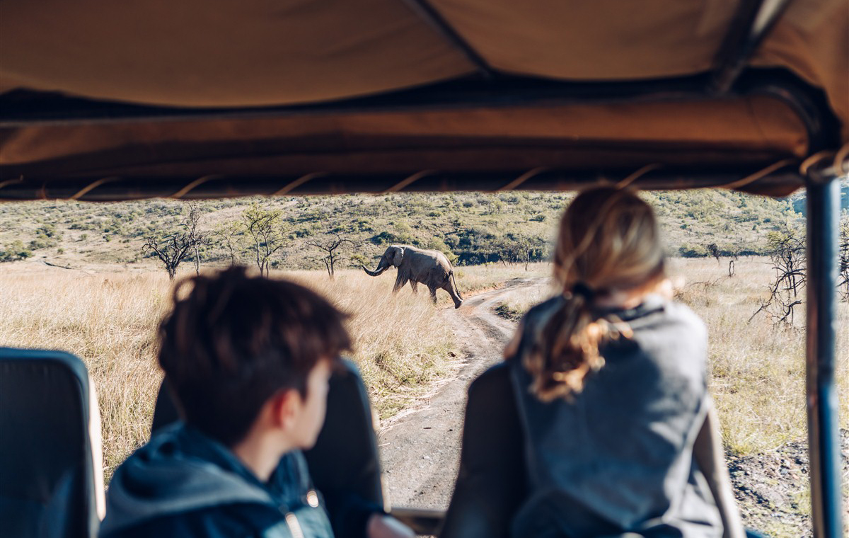 Photographic Safaris: Our Top Tips