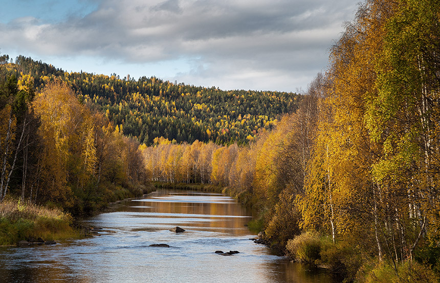 The Most Spectacular National Parks in Sweden