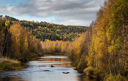 The Most Spectacular National Parks in Sweden