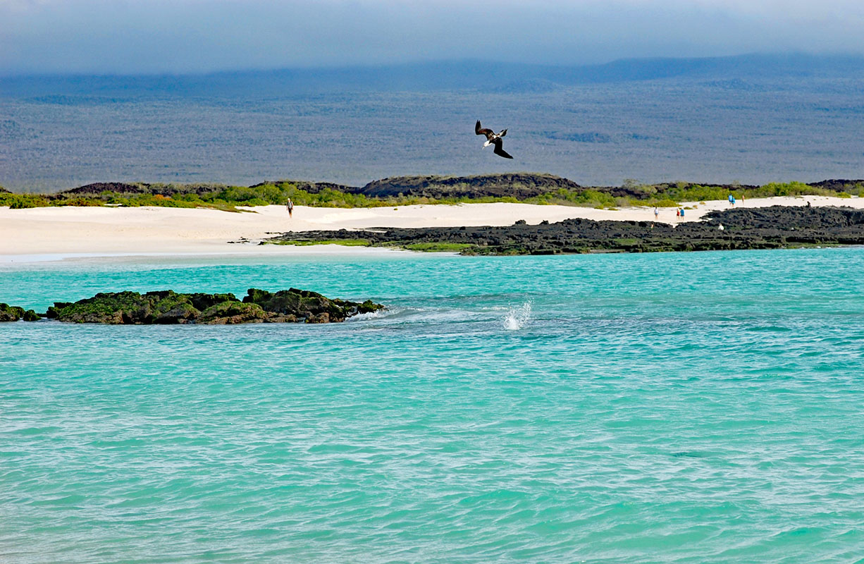 Wonder at Wildlife in the Galapagos Islands