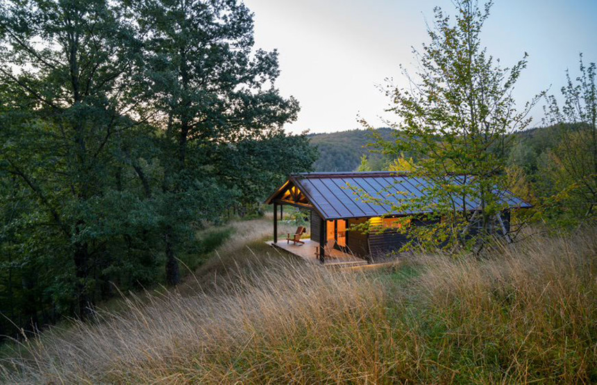 Wildlife & Wolf Tracking at the OasyHotel