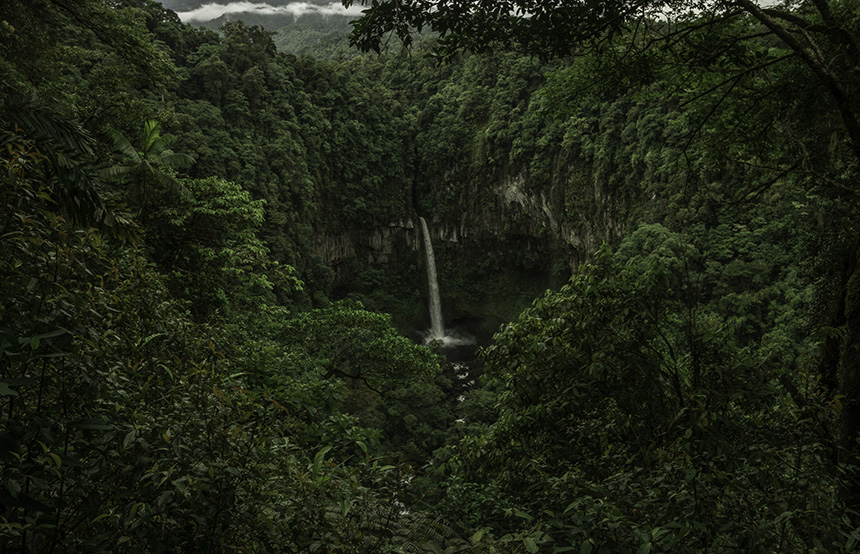 Our Favourite National Parks in Costa Rica