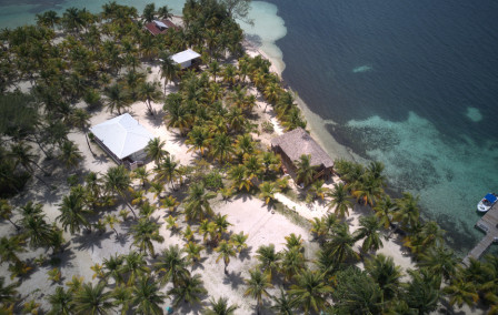 Wildlife in Belize