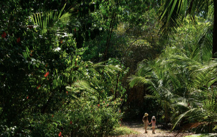 Best Hikes in Costa Rica