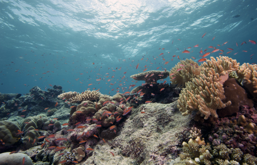 Diving in Costa Rica