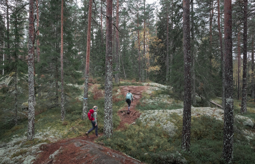 Best Hikes in Sweden