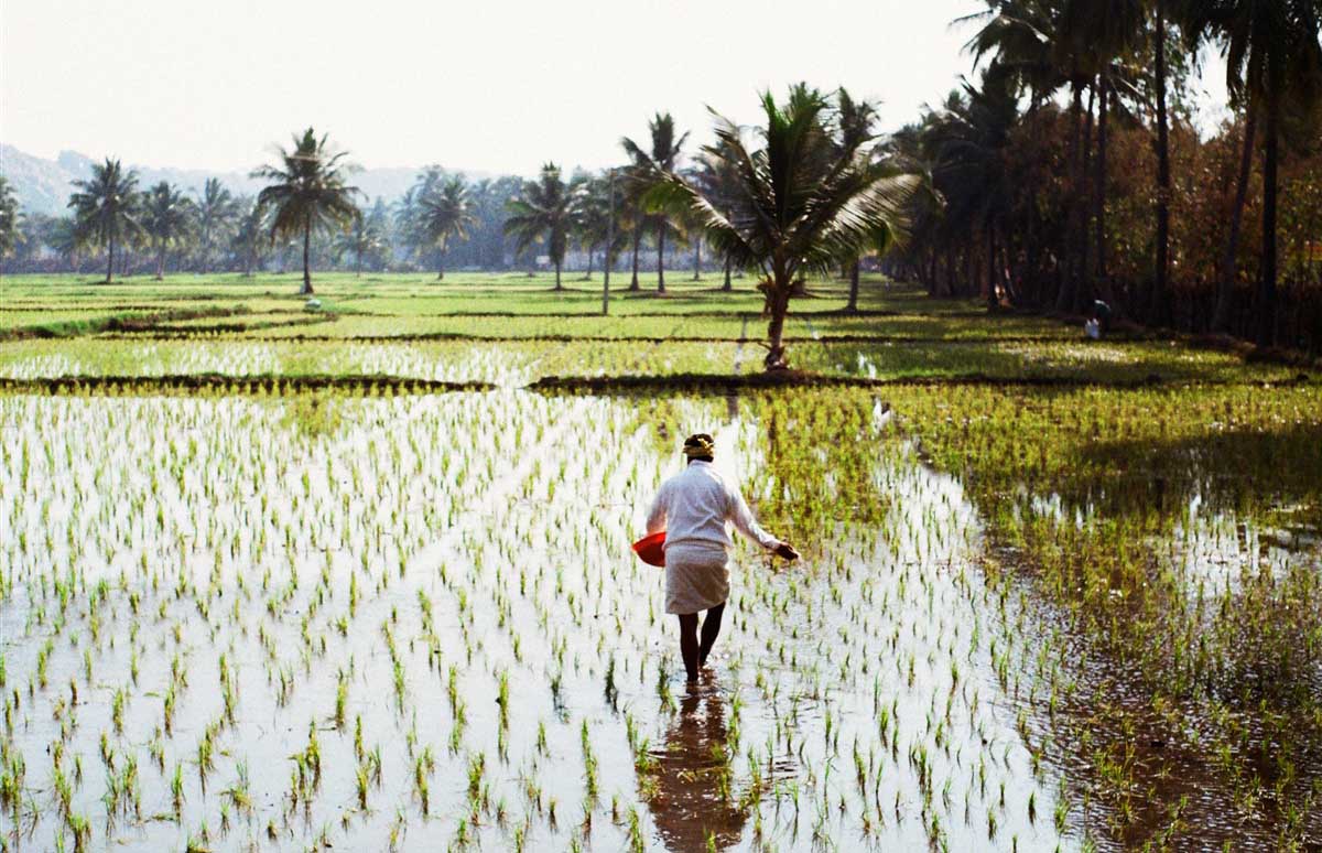 Best Time to Visit Karnataka