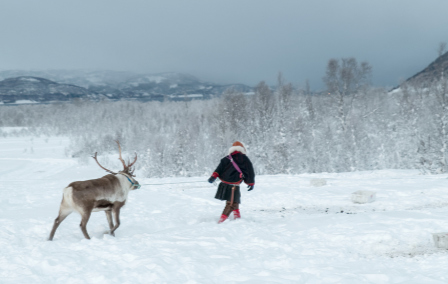 An Introduction to Sámi Culture in Sweden