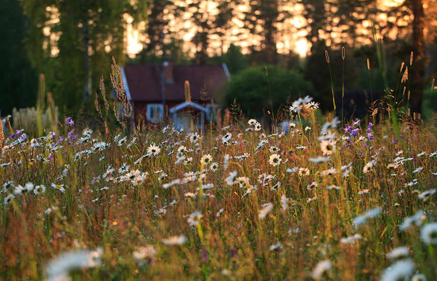 Sustainable Tourism in Sweden