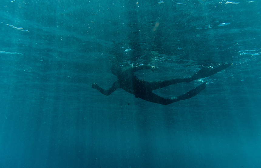 Best Diving in French Polynesia