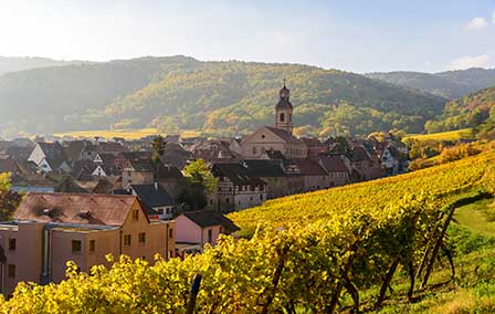 Most Beautiful Wine Routes in France