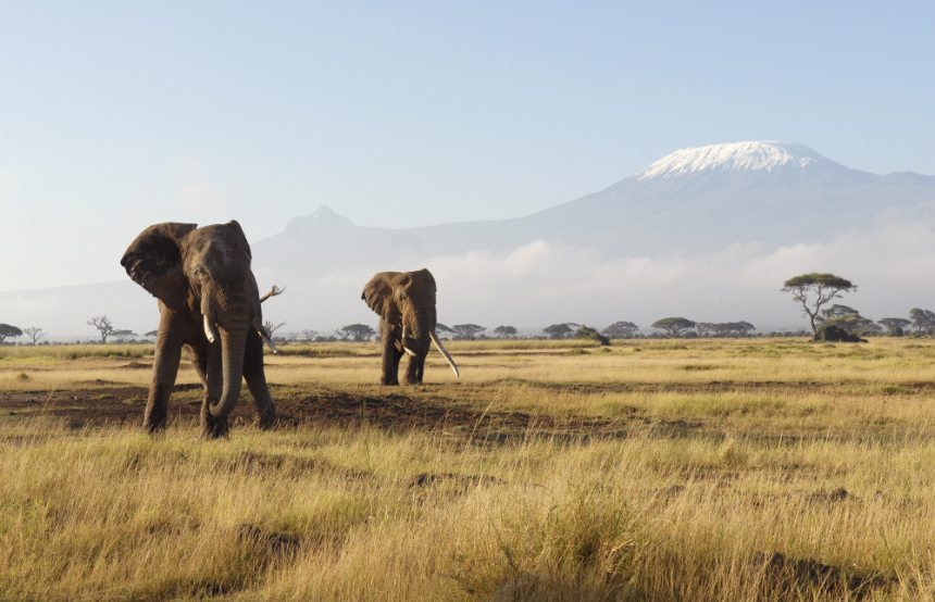 Unmissable Landscapes in Kenya