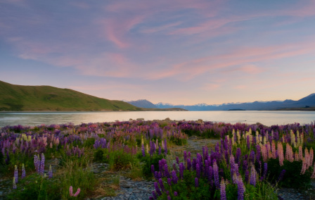 Unmissable Landscapes in New Zealand