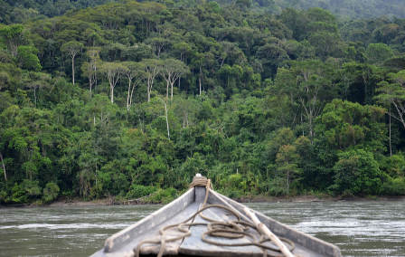 Our Amazon Rainforest Guide